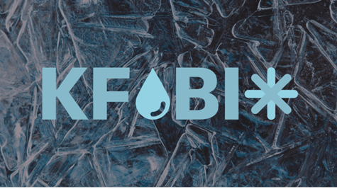 K Fobi Ankara-1