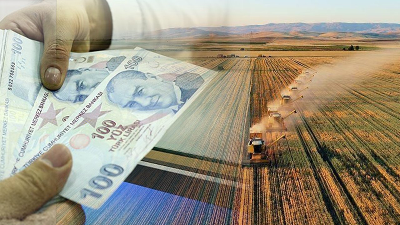 Tarımsal Destek Ödemeleri