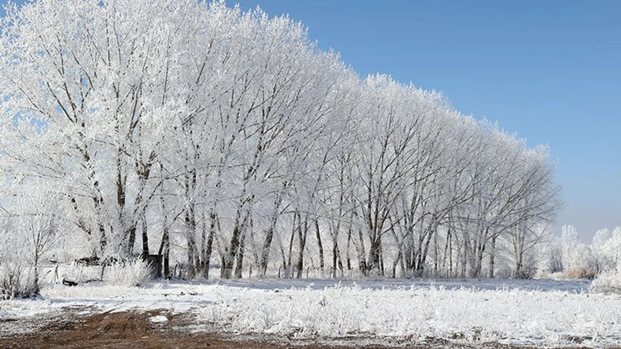 Ardahan Gole