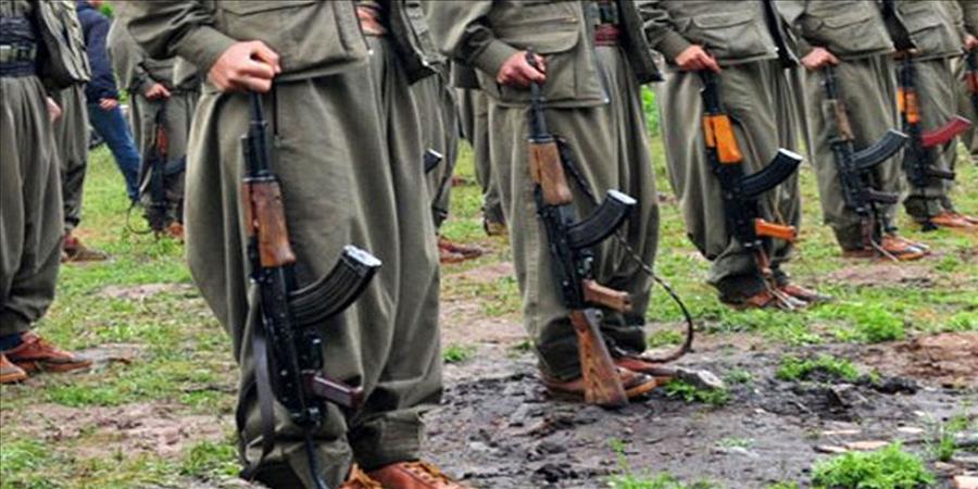 Pkk-6
