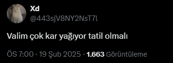 Ekran Görüntüsü 2025 02 19 193710