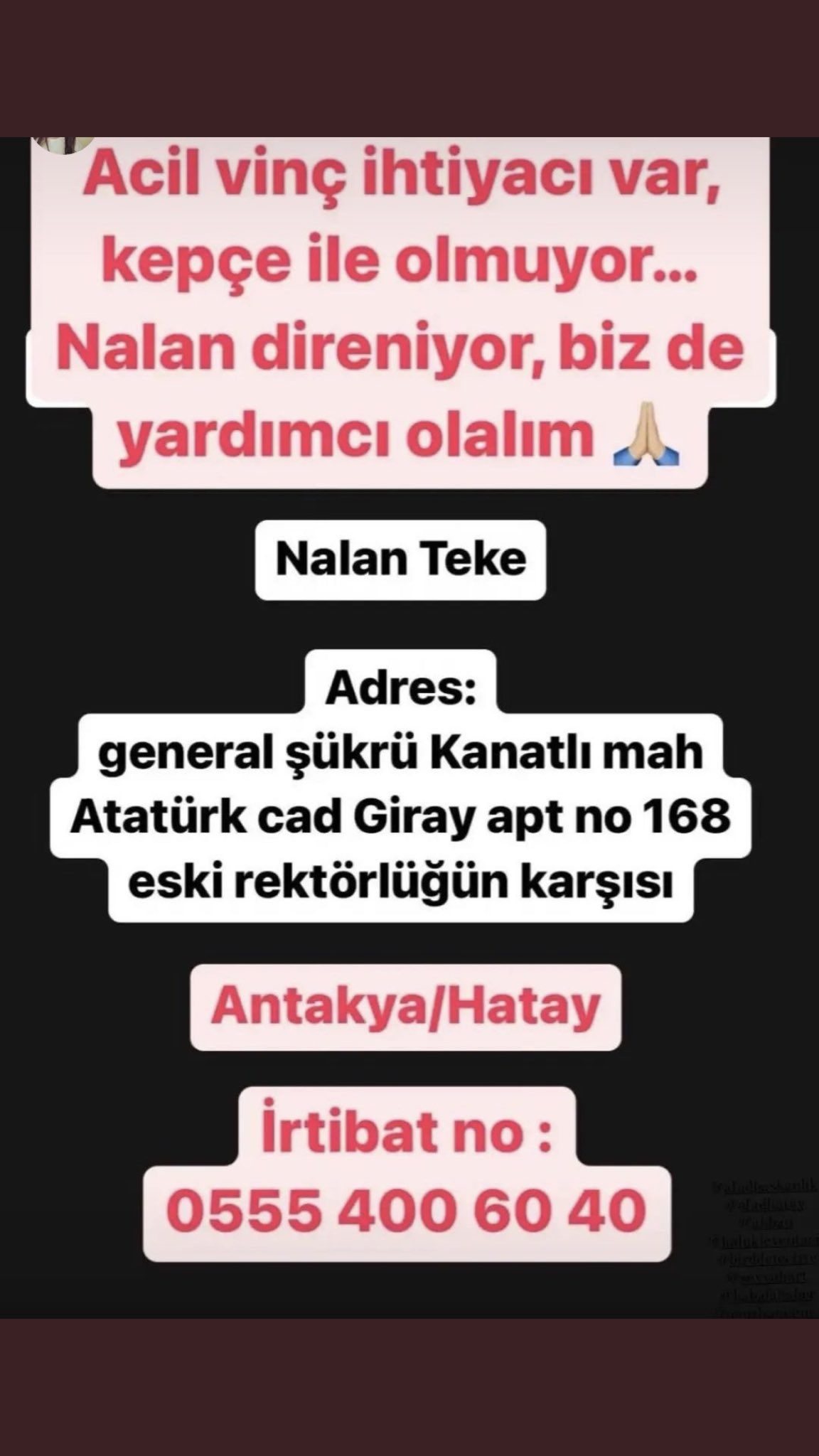 Nalan Teke Kimdir