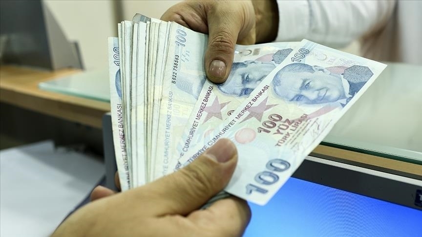 Vatandaşlık Maaşı Nedir, Kimlere Verilecek Ve Başvuru Şartları Nelerdir (1)