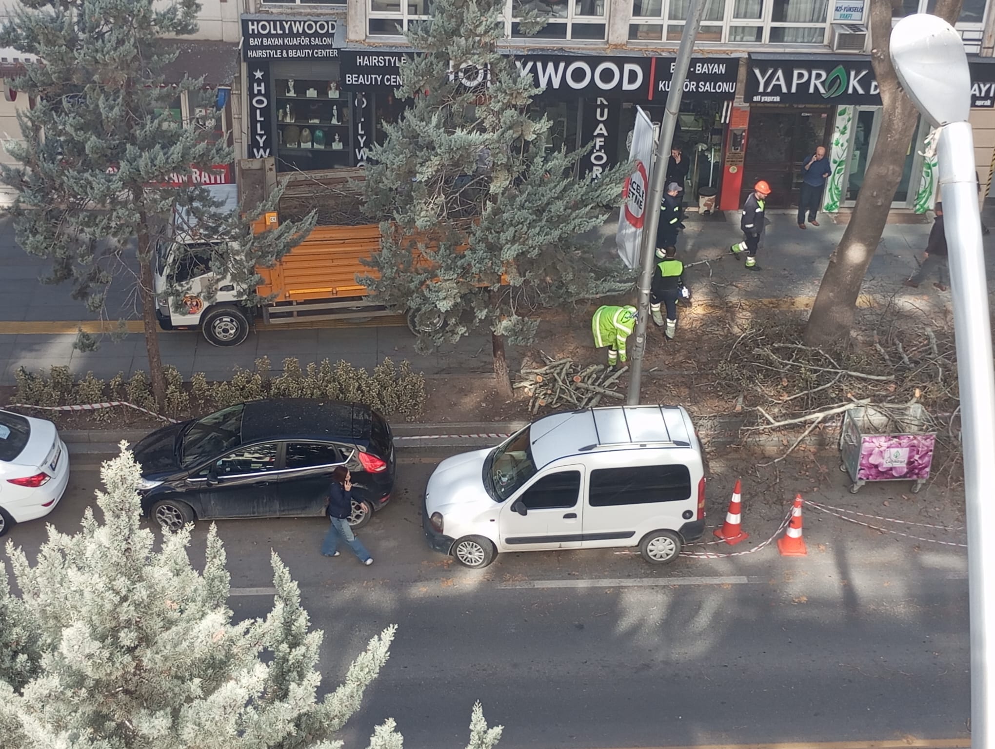 Ankara Büyükşehir Ağaç Budama (3)