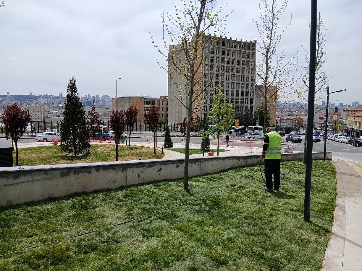 Samanpazarı Meydanı Altındağ Rulo Çm Gerçek Halı Peyzaj (6)