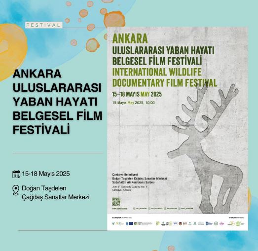 Ankara Festival-1