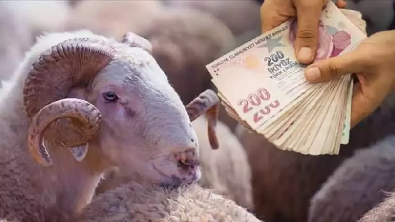 Kurbanlık fiyatlarına büyük zam: Bayram harcamaları vatandaşların cebini zorluyor