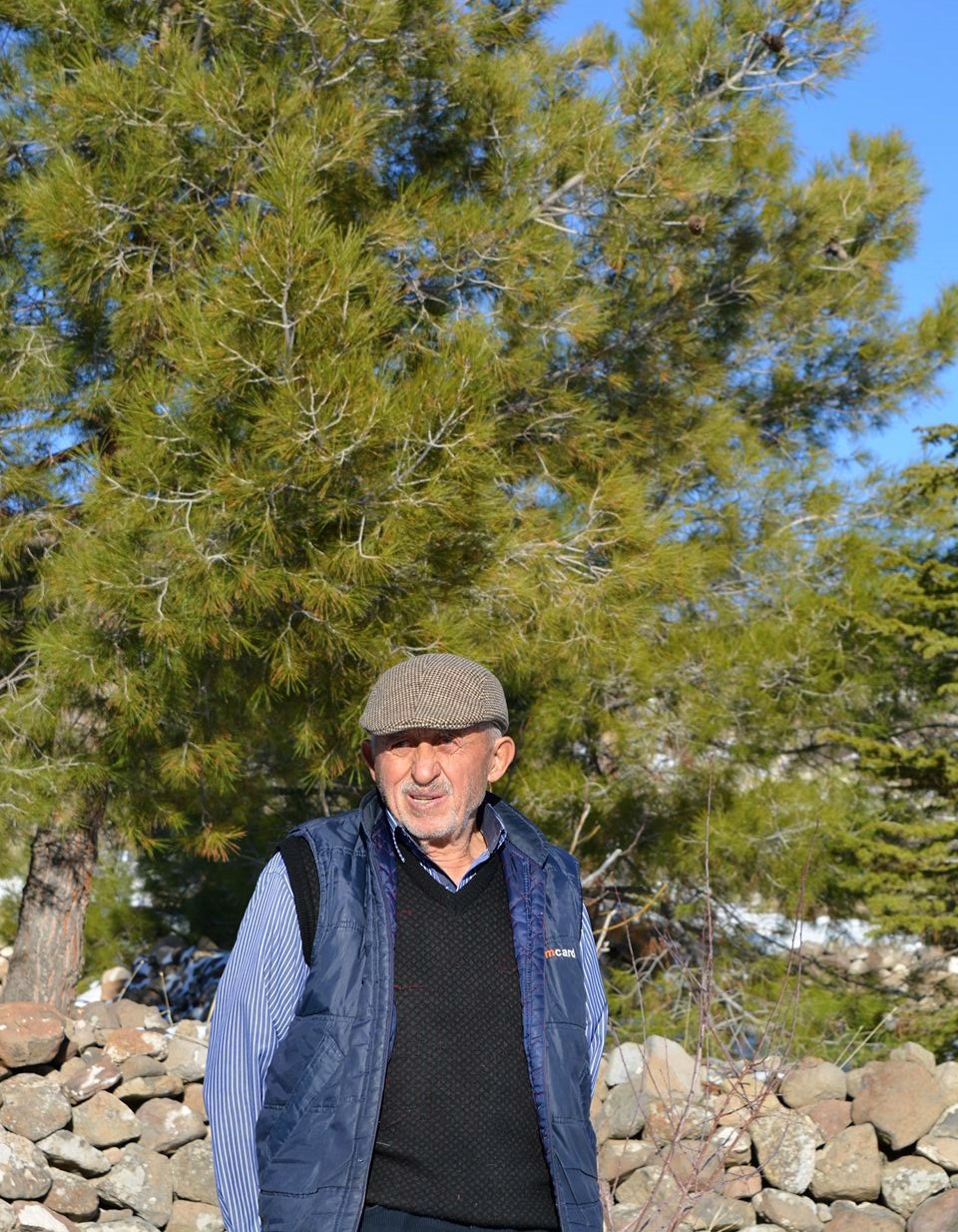 Orman Dede Kimidr