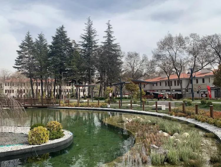 Saraçoğlu Mahallesinde Neler Var