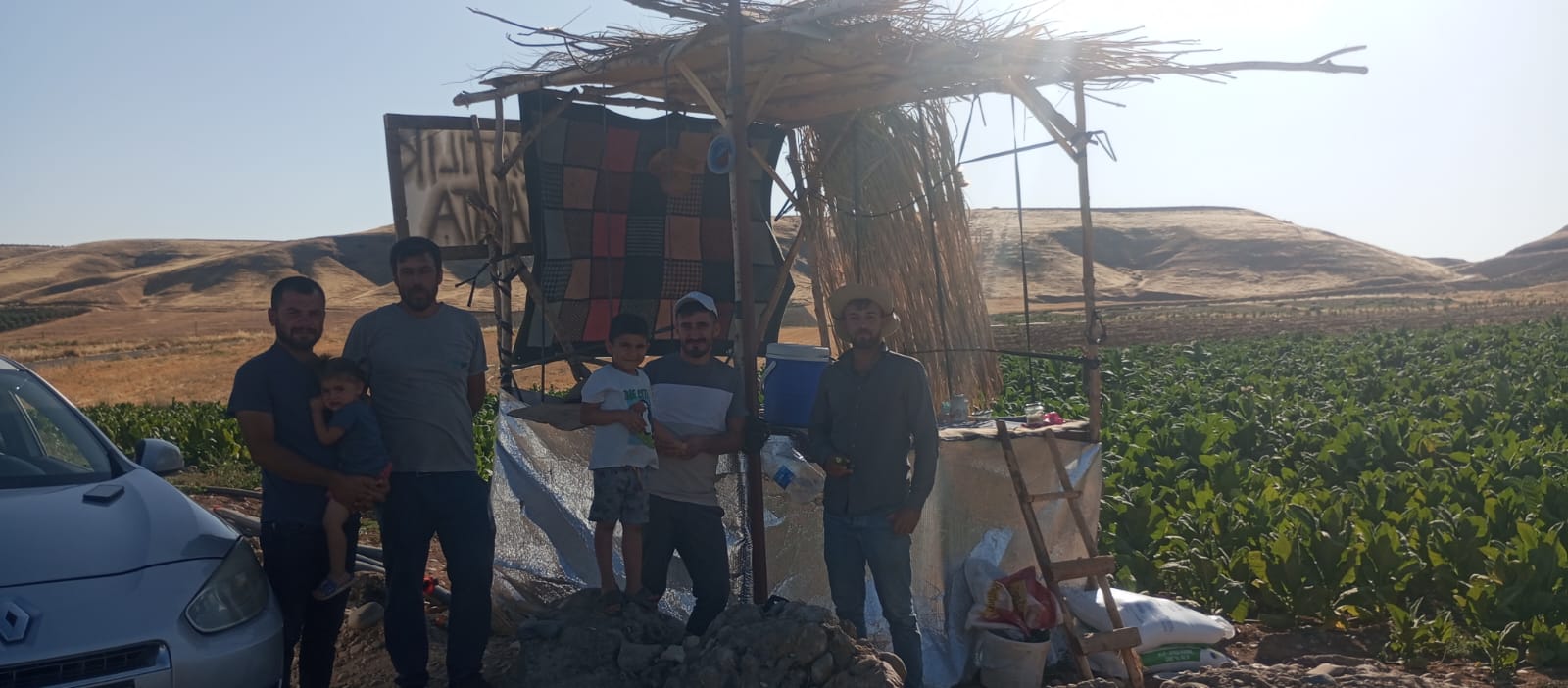 Adıyaman Tütün Salatalık (1)