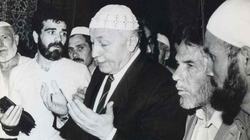 Ali Soylu Nereli