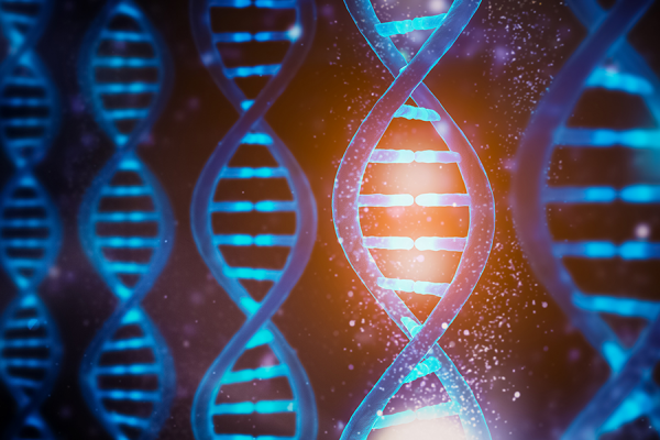 Dna1