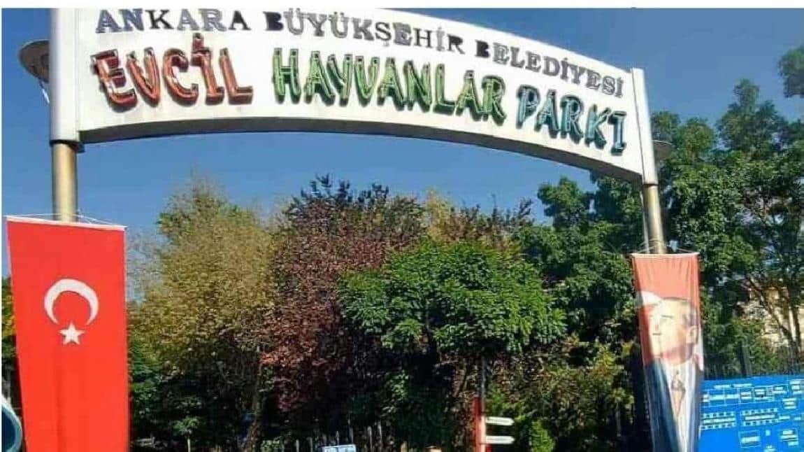 Evcıl Hayvanlar Parkı