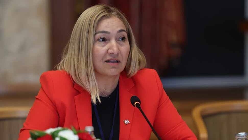 Kktc'li Vekil Yasemin Öztürk1