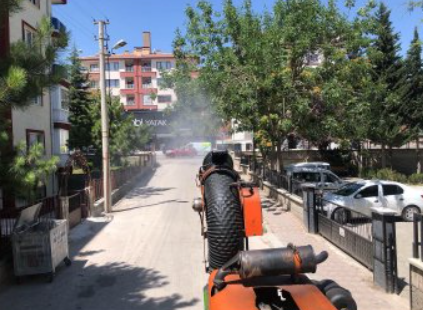 Sinek Ankara