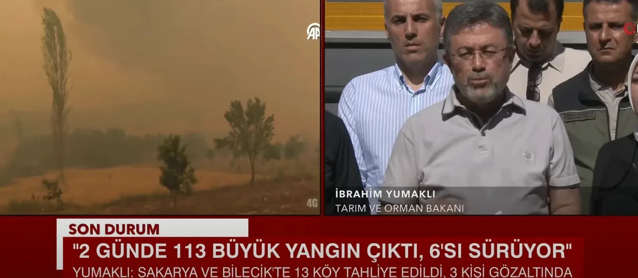 Taraklı