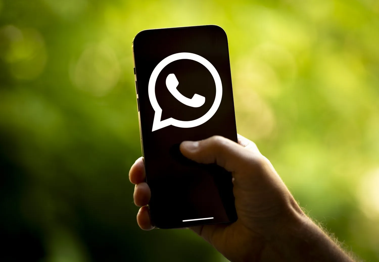 Whatsapp1