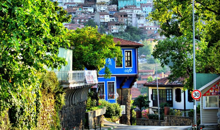 Bursa-8
