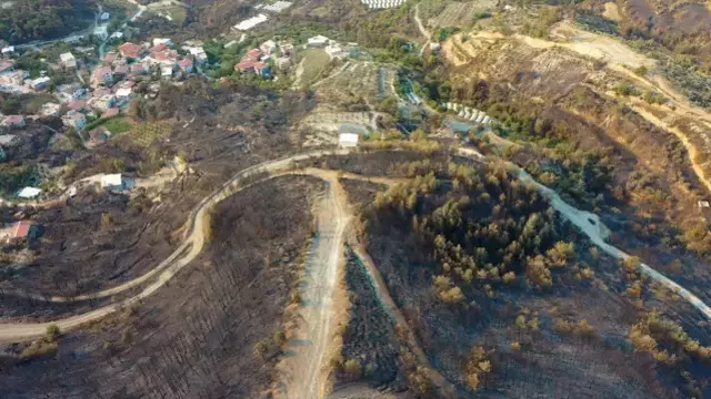 Hatay 3