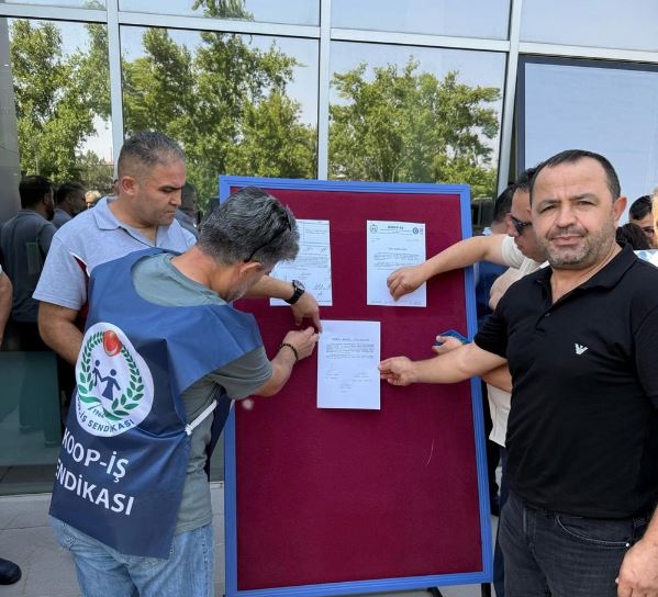 Koop Iş