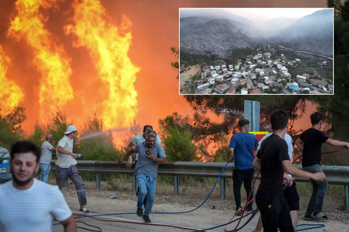 Orman Yangını Bursa