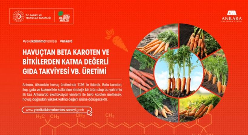 Ankara Kalkınma Havuç Karoeten