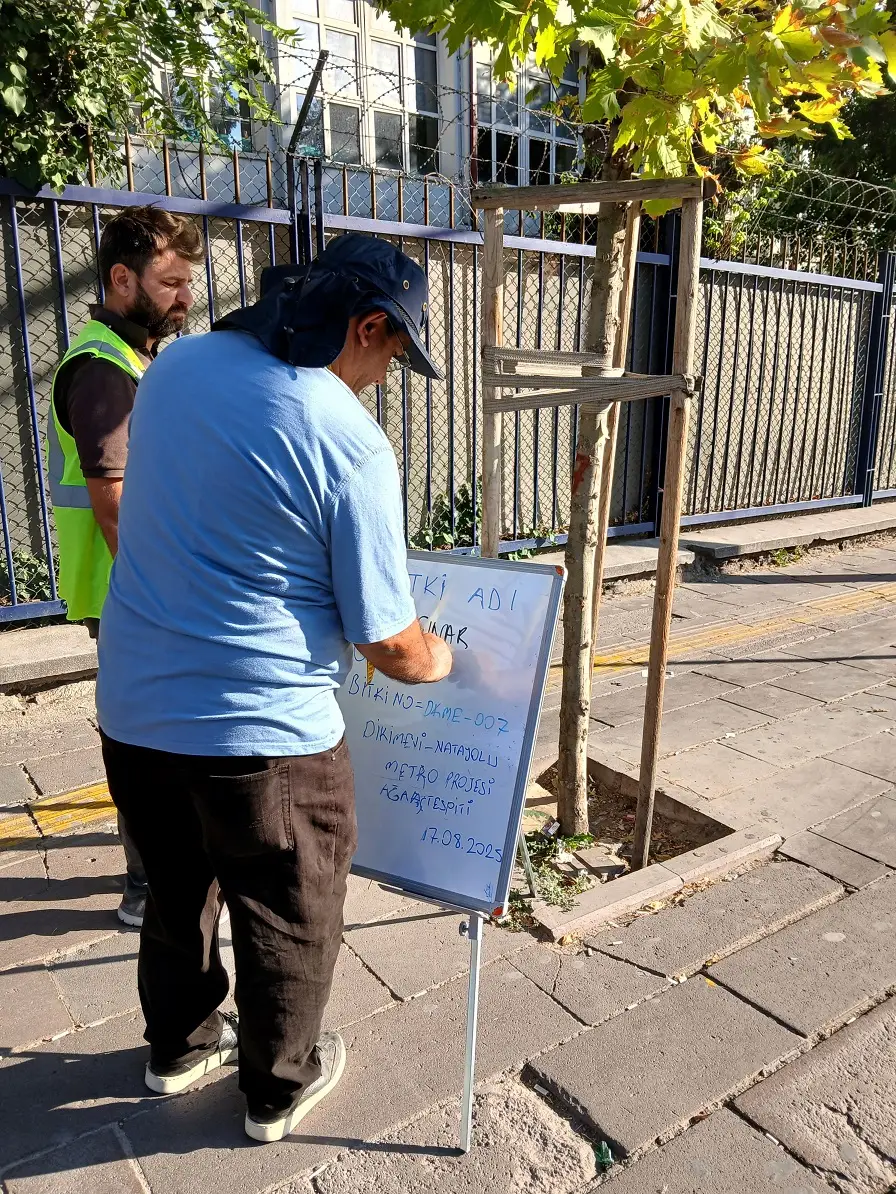 Bitki Ağaç Tespiti Gülermak Mamak Metro Hattı Dikimevi Natoyolu Abb Ankara Büyükşehir (5)