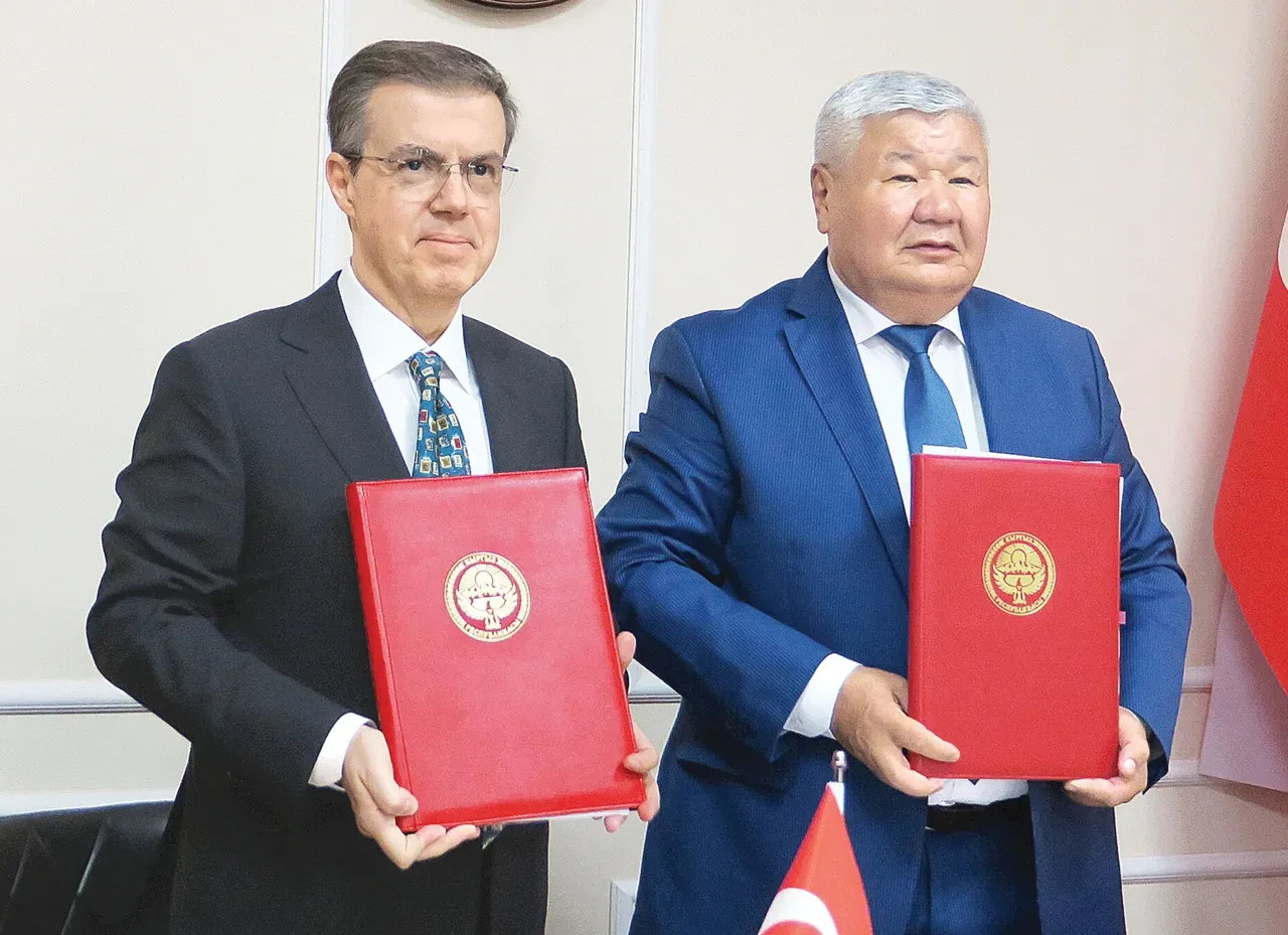 Enerjı