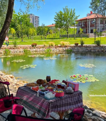 Ankara’nın gizli cenneti! Nilüfer Havuzu başkentlilerin yeni gözdesi