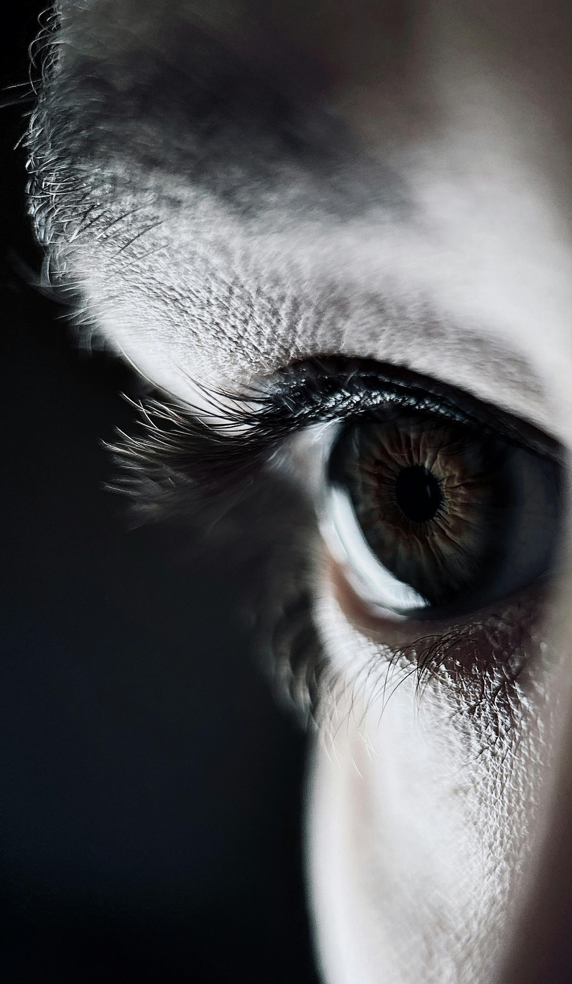 ChatGPT ile Havalı Profil Fotoğrafları Nasıl Oluşturulur?