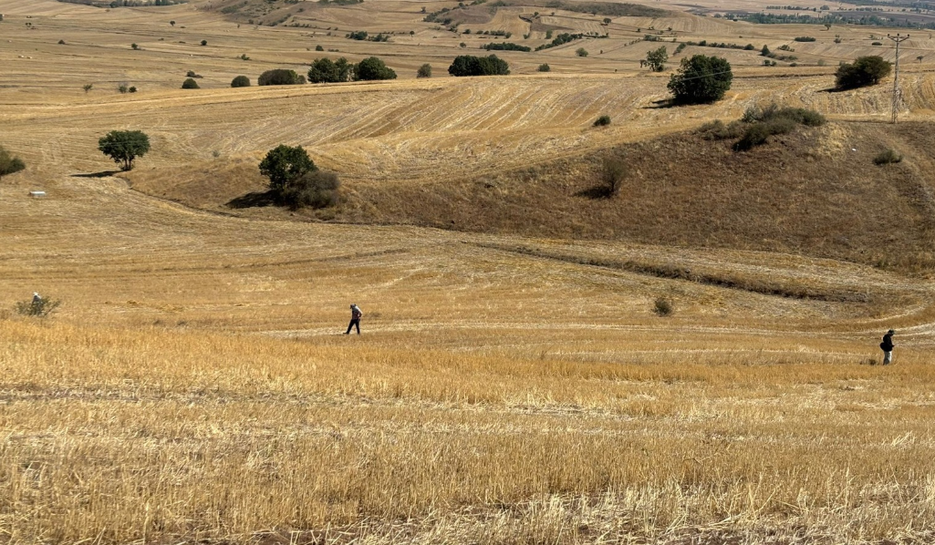 Asbü Anadolu-1