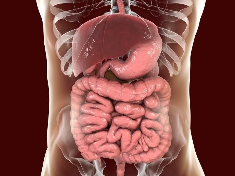 Bağırsak sağlığı için 5 kritik uyarı: Uzmanlar bu gıdalardan uzak durun diyor