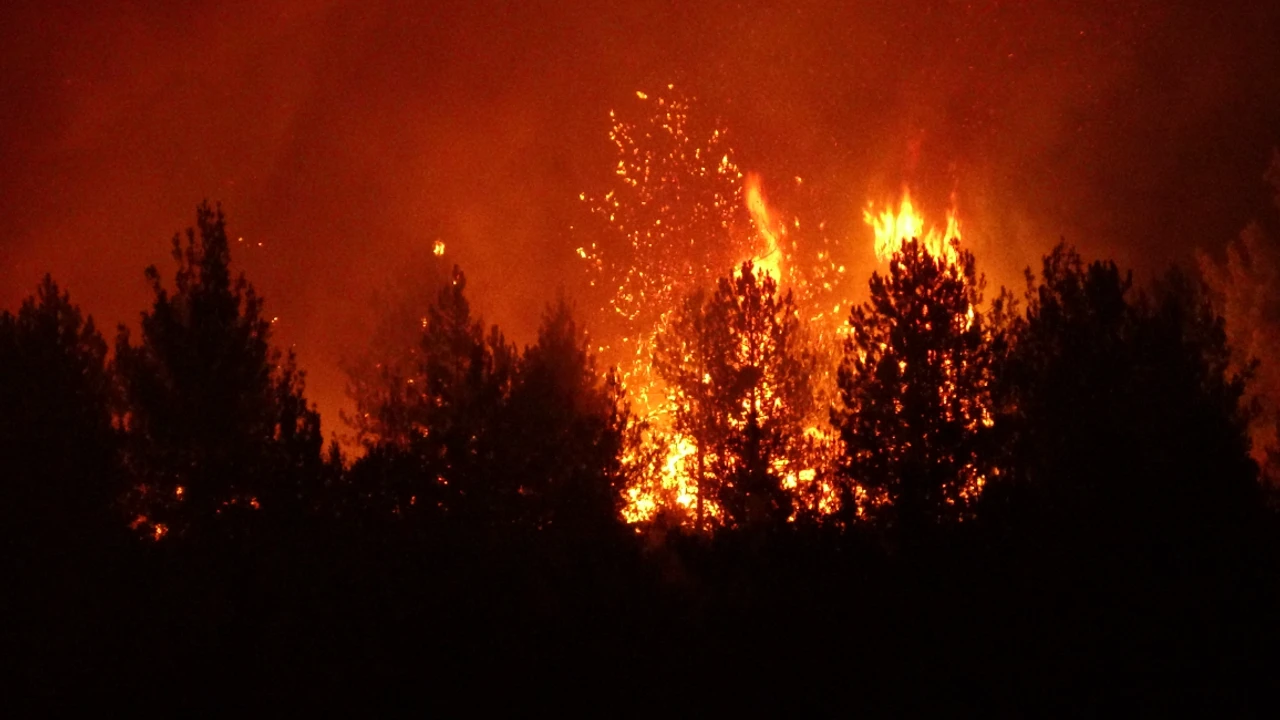 Karabük Kastamonu Yangın
