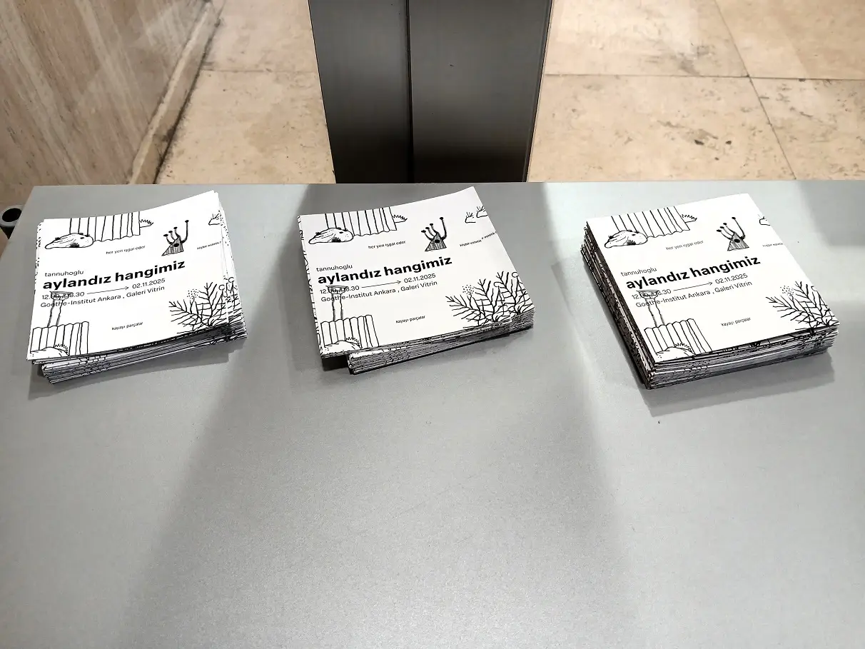 Tan Nuhoğlu Aylandız Hangimiz Goethe Institut Ankara Galeri Vitrin Sergi (2)