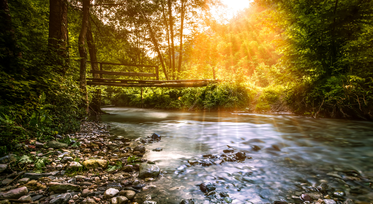 Adsız Tasarım (22)
