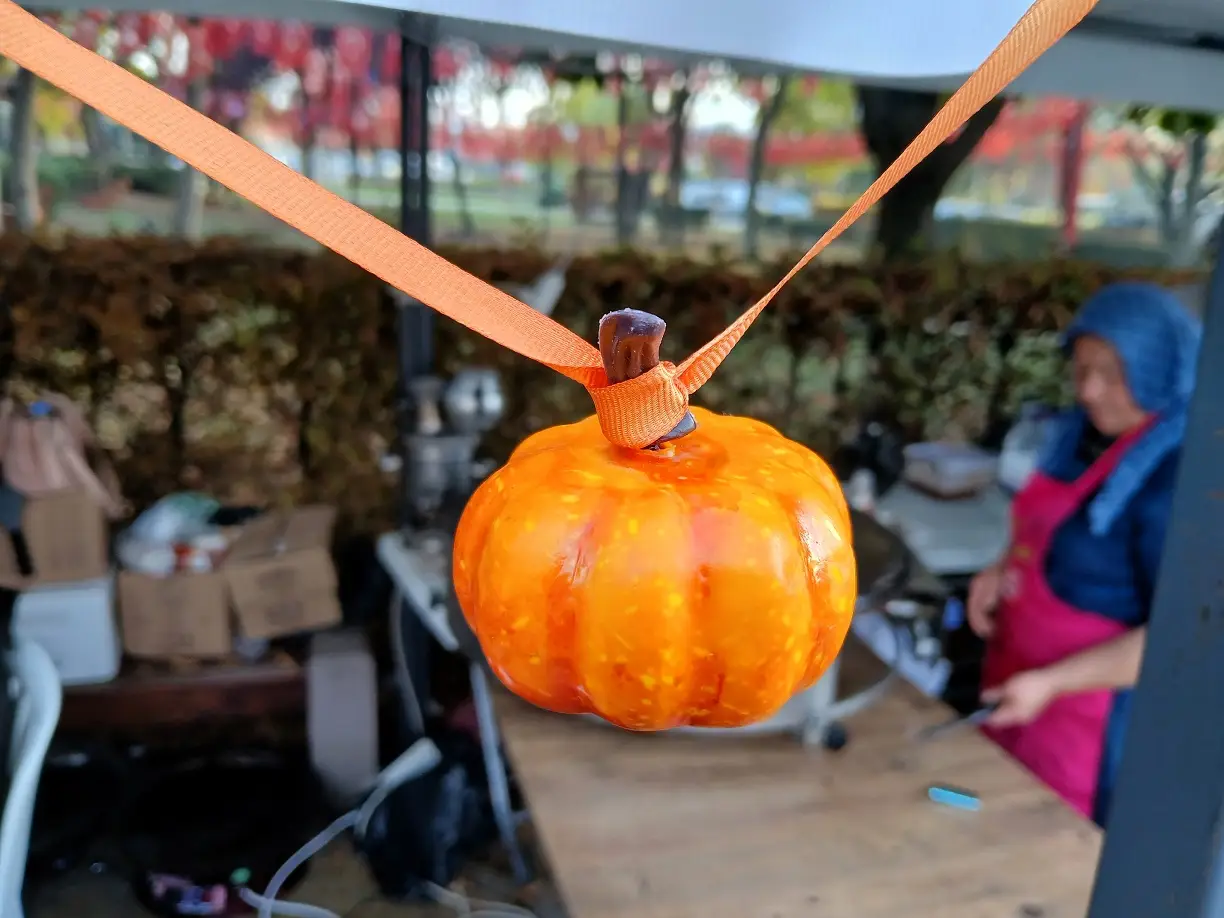 Ankara Gastronomi Festivali Gençlik Parkı (4)