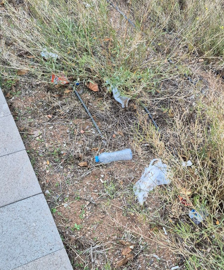 Ato Hatıra Ormanı Çöp Sorunu