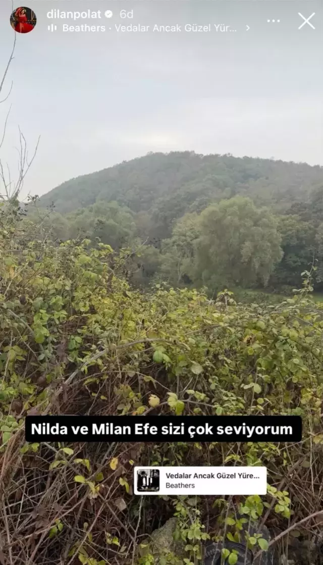 Dılan Polat Intıhar