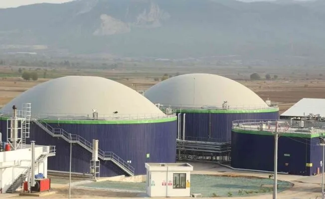 Ecogreen Enerji Hisse