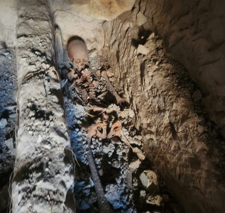 I M G 20251031 163907