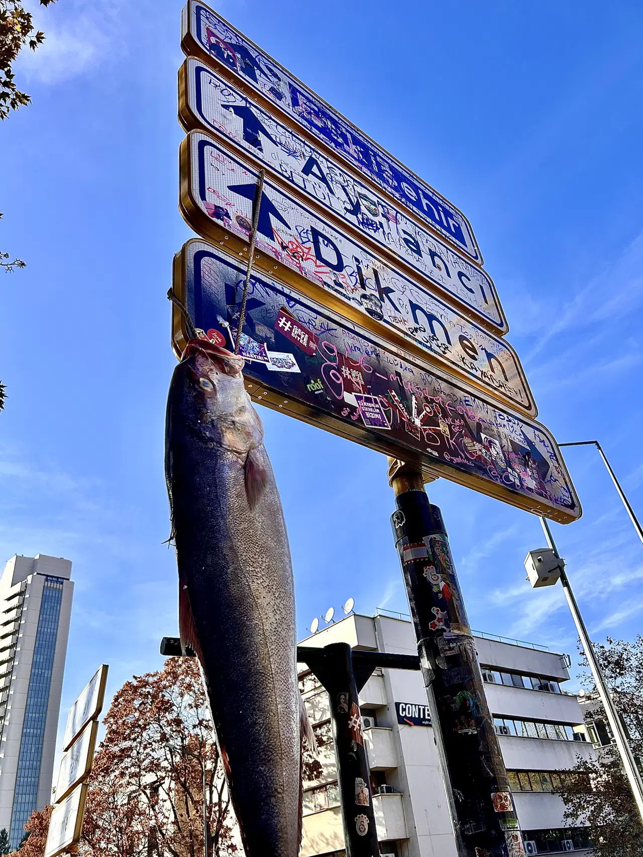 0D42Ad72 Ca71 4448 8C45 26E3C3Ef957F