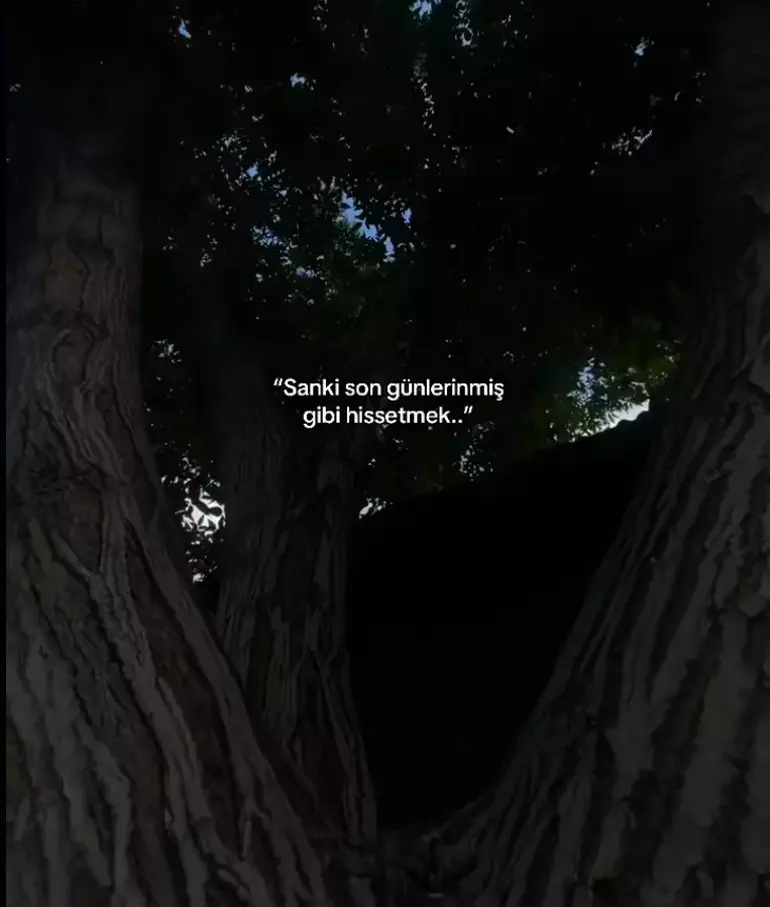 692582F5D931A03263Cc8577