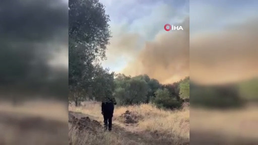 6D7E9B2A Da3F 42Ba A89B 15Abccf73308