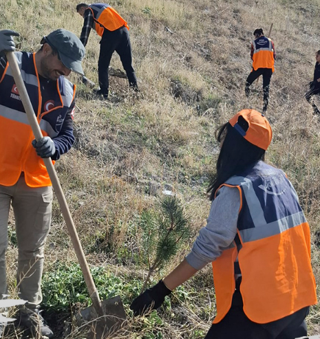 Afad Ağaç Dikme Ankara