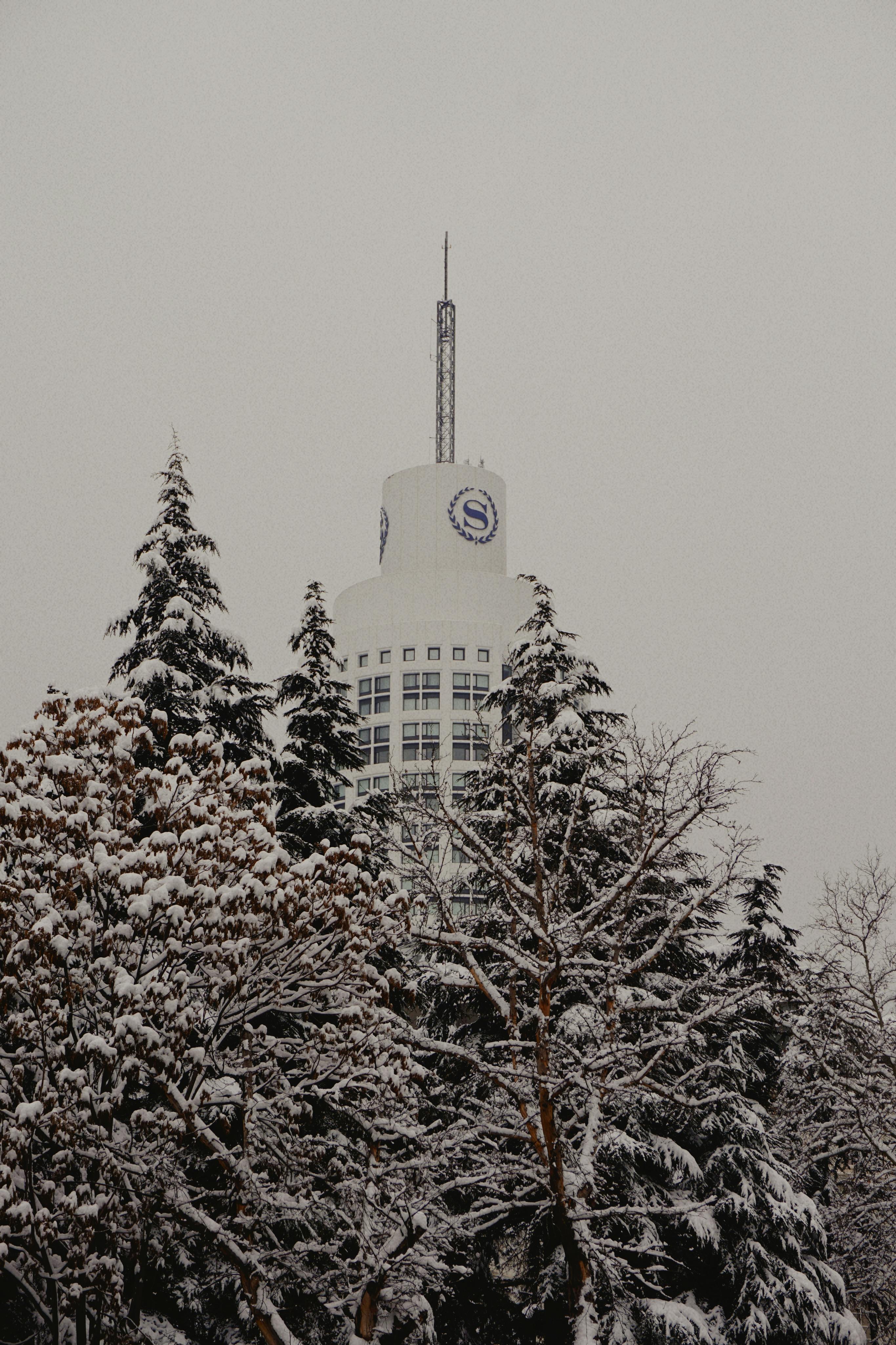 Ankara Kıs Aktivite Aile (4)