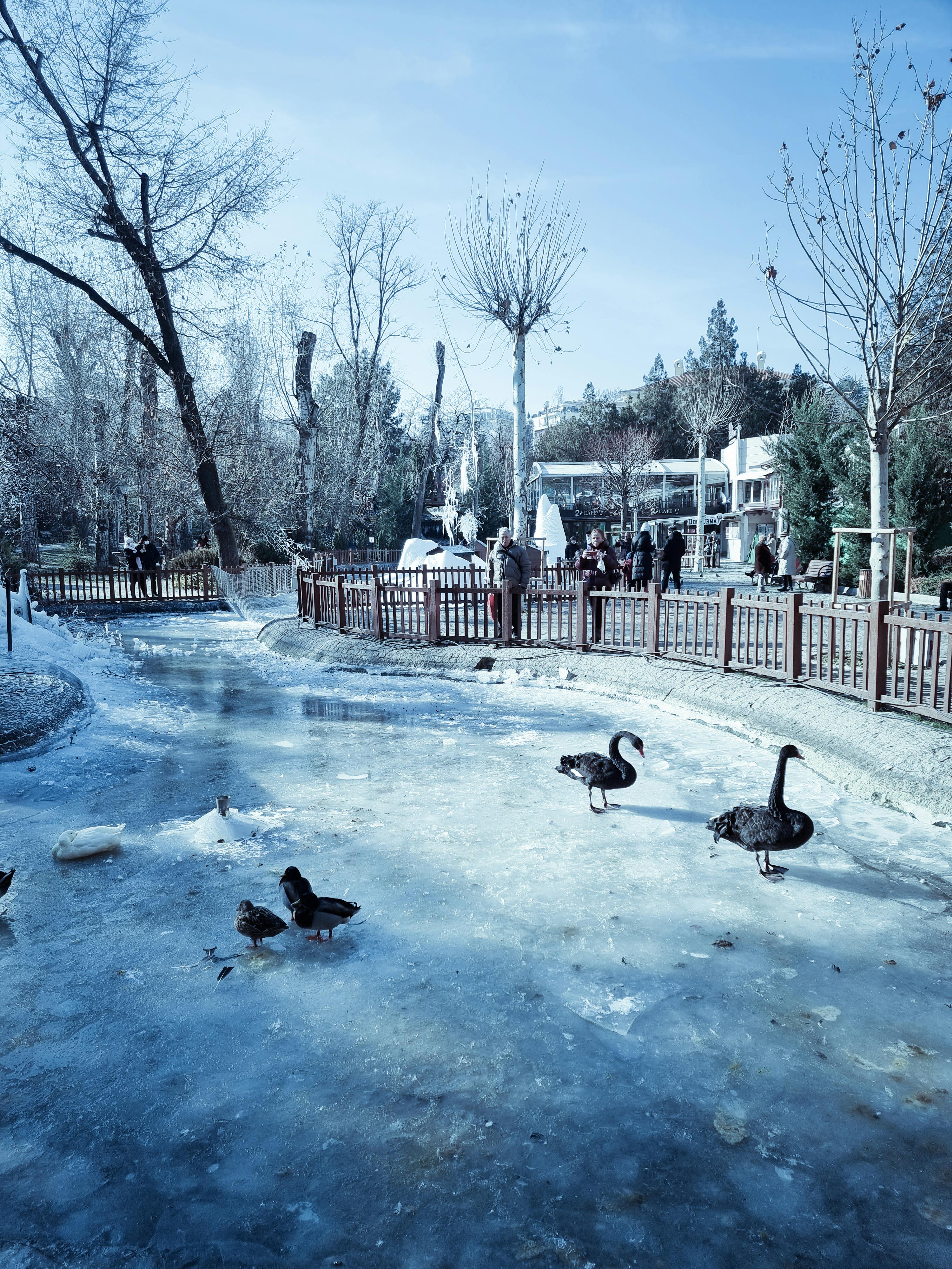 Ankara Kıs Aktivite Aile (7)