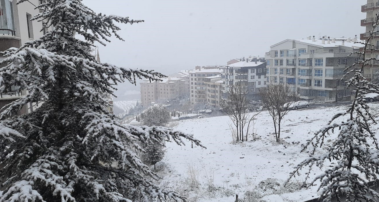 Ankaraa 1711013282-1