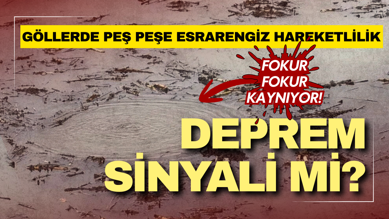 Düzce'de esrarengiz hareketlilik: Efteni Gölü'nde kaynayan su depremin habercisi mi?