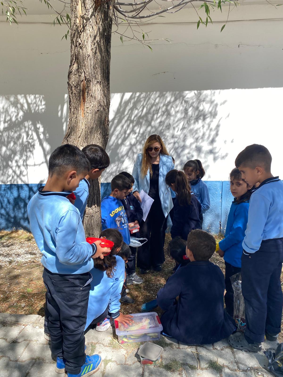 Gülcan Yumuş Yeşil Vatan Projesi (2)