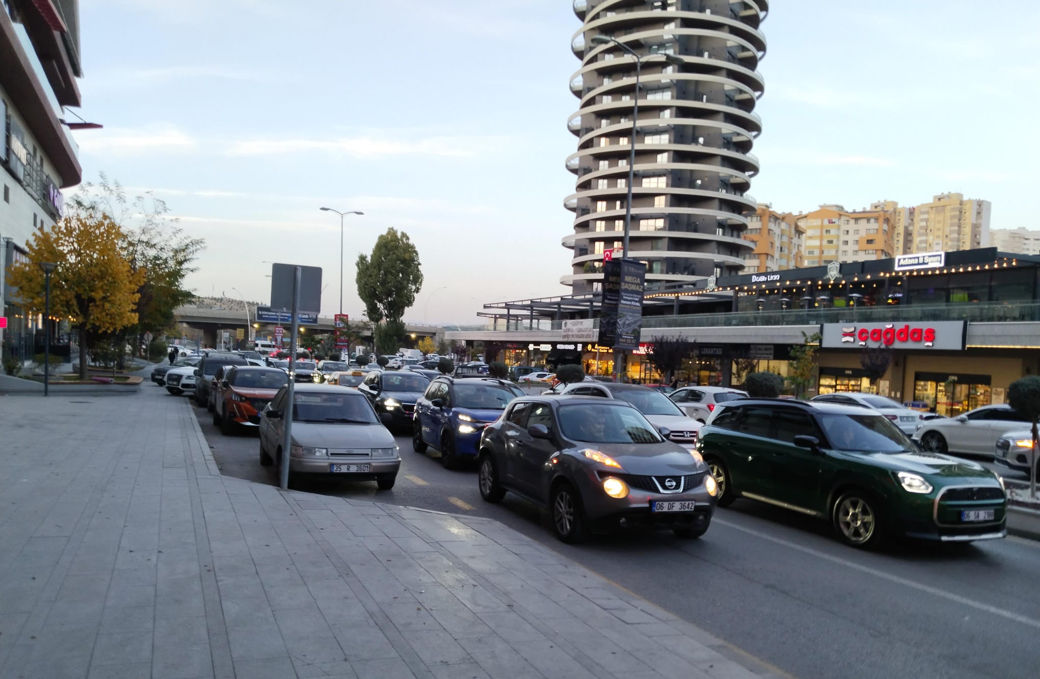 I M G 20251113 W A0030